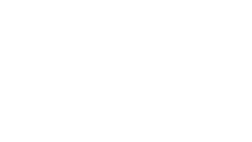 wavic logo
